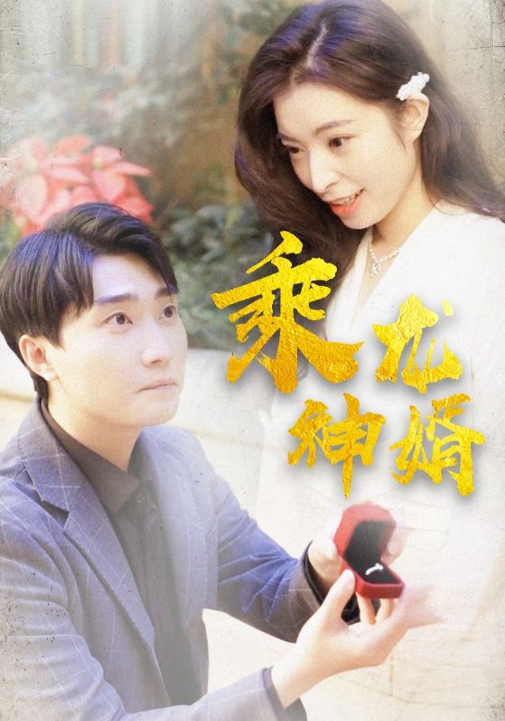 乘龙神婿$宋云$陈小月