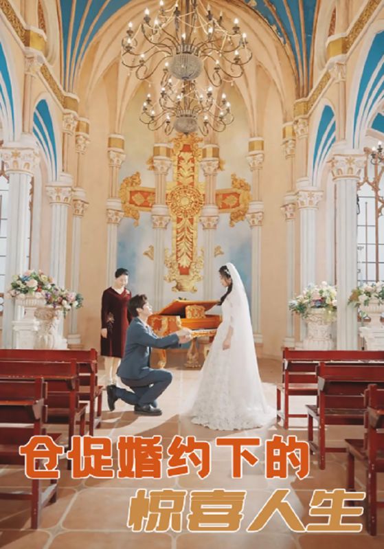 仓促婚约下的惊喜人生$顾明修$舒欣