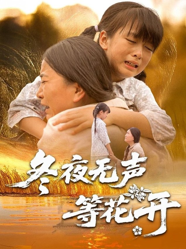 短剧《冬夜无声等花开$安敏/王珊珊》全集夸克网盘