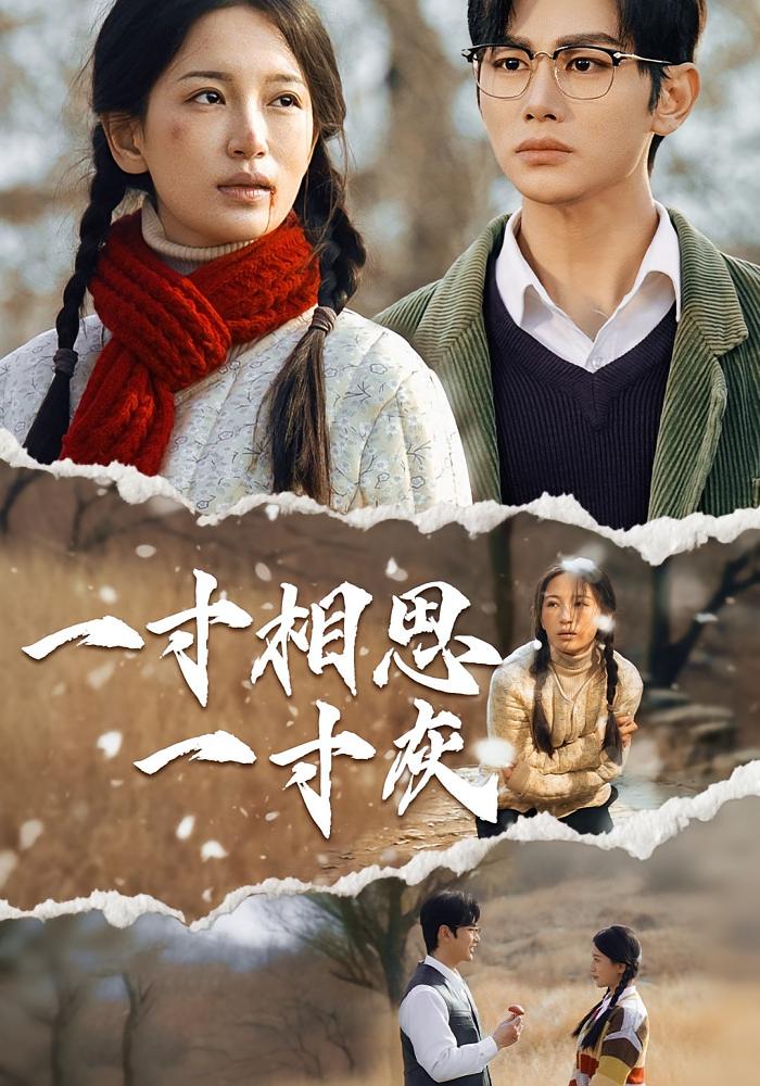 一寸相思一寸灰(夸克网盘资源)
