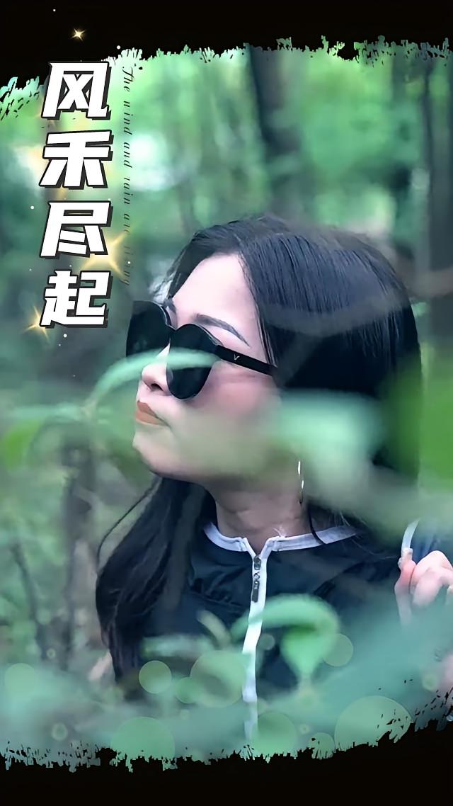 风禾尽起(夸克网盘资源)