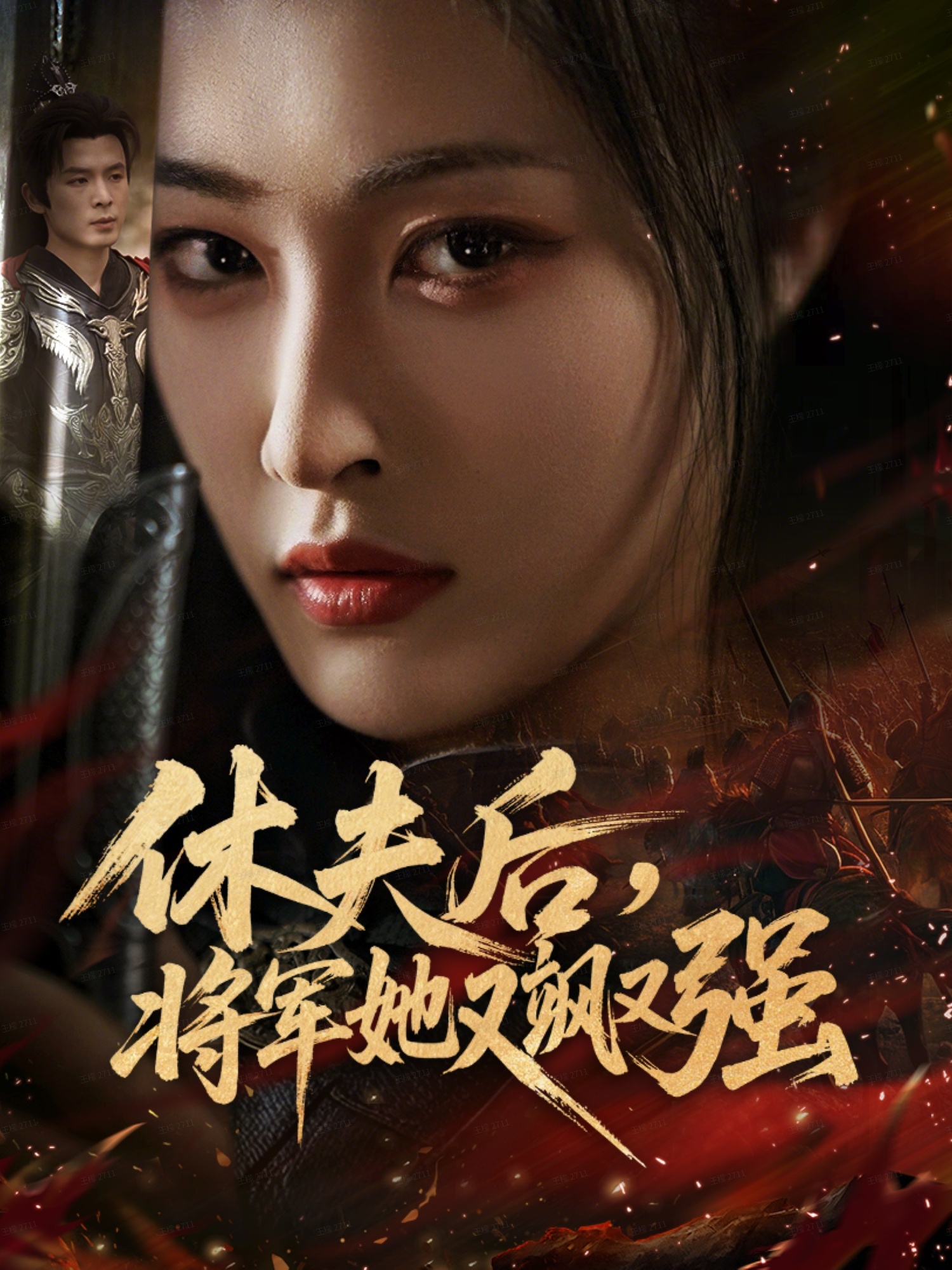 短剧《休夫后，将军她又飒又强$刘星辰＆翟炯》全集夸克网盘