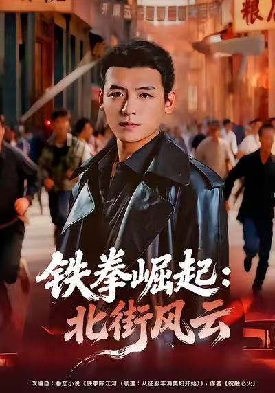 短剧《铁拳崛起：北街风云$李源＆张佳嘉》全集夸克网盘