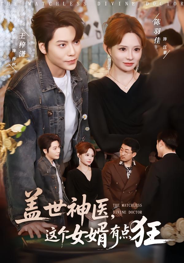 短剧《盖世神医，这个女婿有点狂$陈羽佳/王梓潇》夸克网盘资源