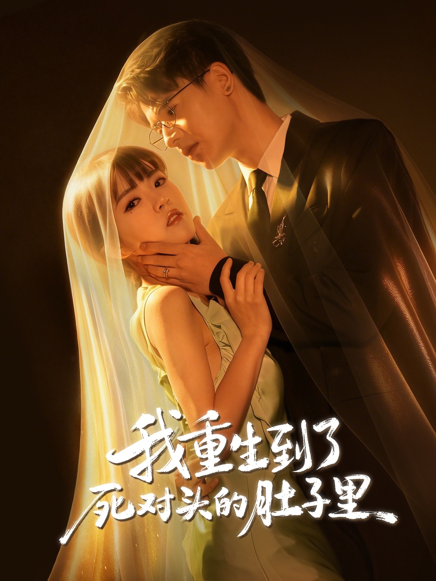 短剧《我重生到了死对头的肚子里$王浩博/李雪丹》全集夸克网盘