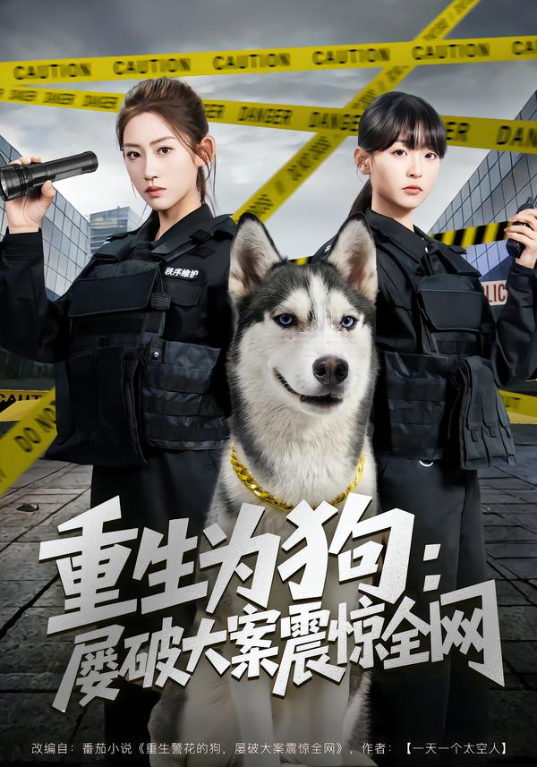 短剧《重生为狗屡破大案震惊全网$王冰星＆范经明》全集夸克网盘