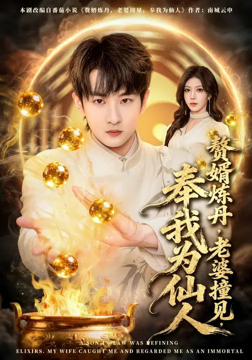 短剧《赘婿炼丹，老婆撞见，奉我为仙人$童家豪/李伊琳》全集夸克网盘